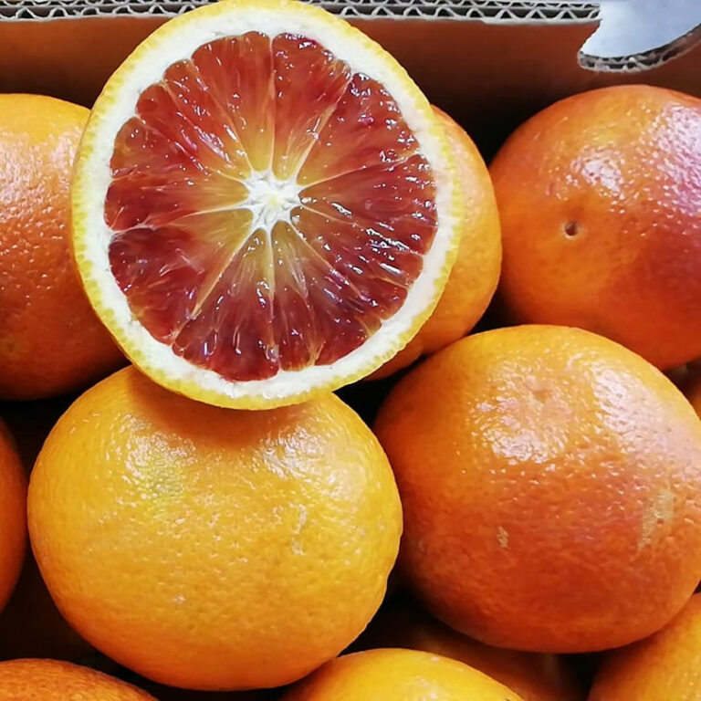 Arance per la festa di San Biagio