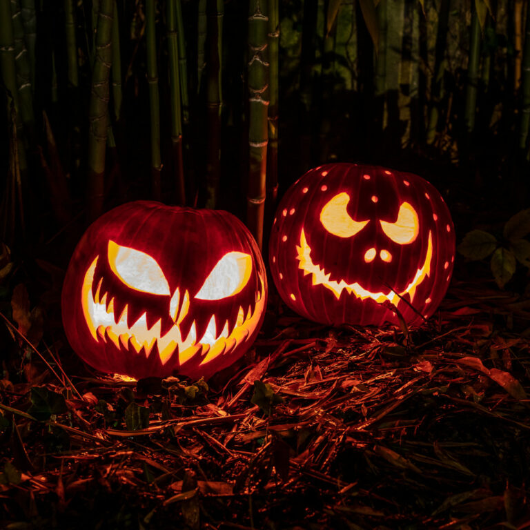 Zucche di Halloween